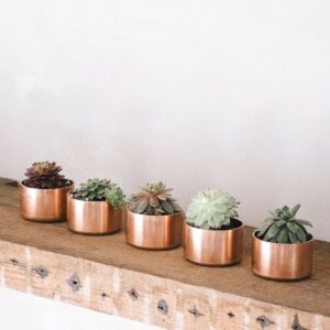 Copper Pot for Succulents / Rings / Trinkets - Little Deer